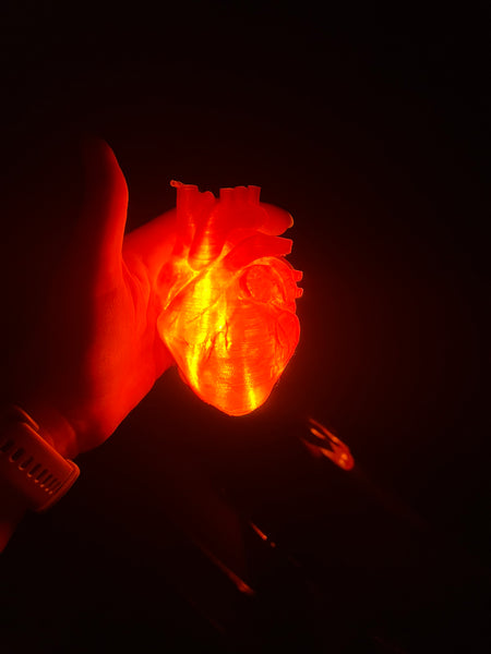 Skeleton heart